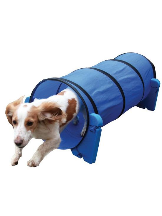 stillFront image of rosewood-agility-tunnel-outdoor-pet-activity