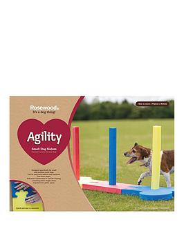 rosewood-agility-slalom-outdoor-pet-activity