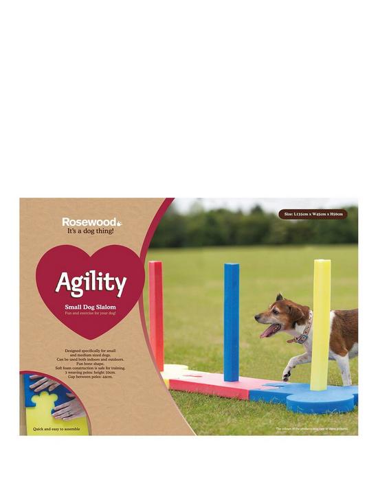 front image of rosewood-agility-slalom-outdoor-pet-activity