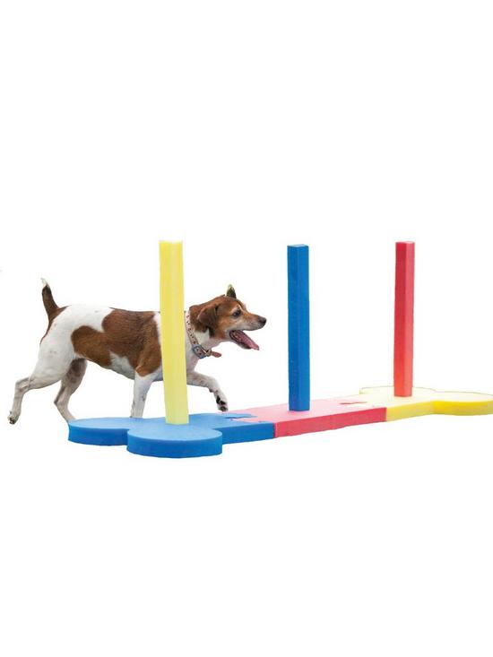 stillFront image of rosewood-agility-slalom-outdoor-pet-activity