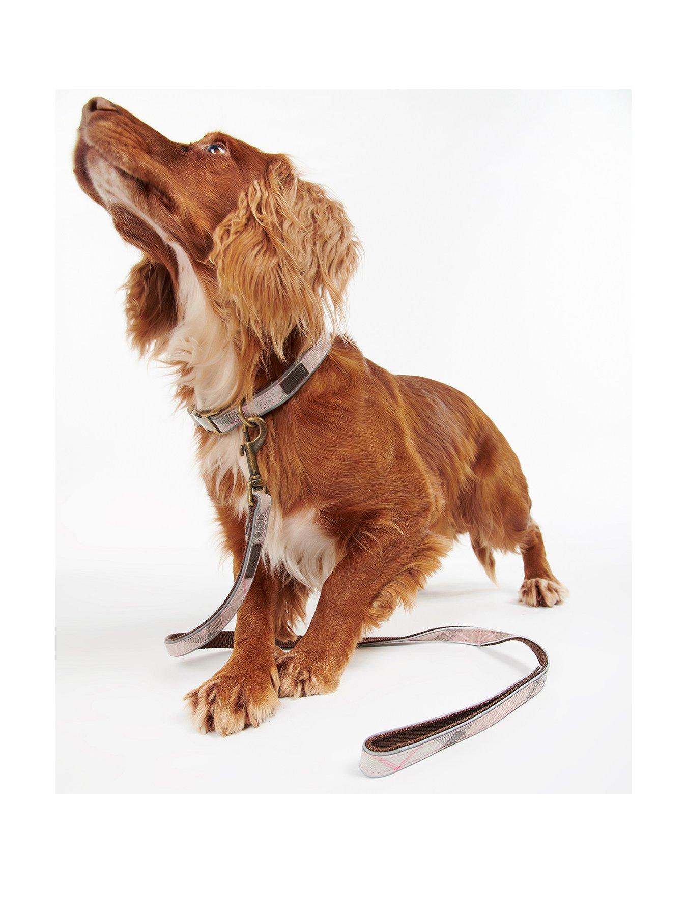 collars & leads