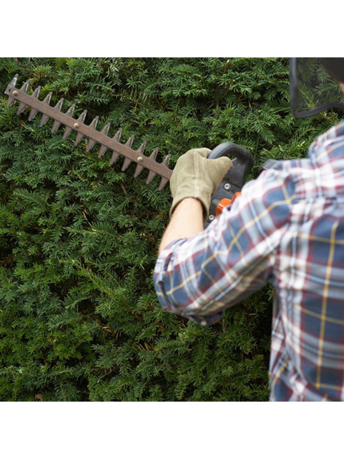  image of yew-hedging-plants-9cm-pot