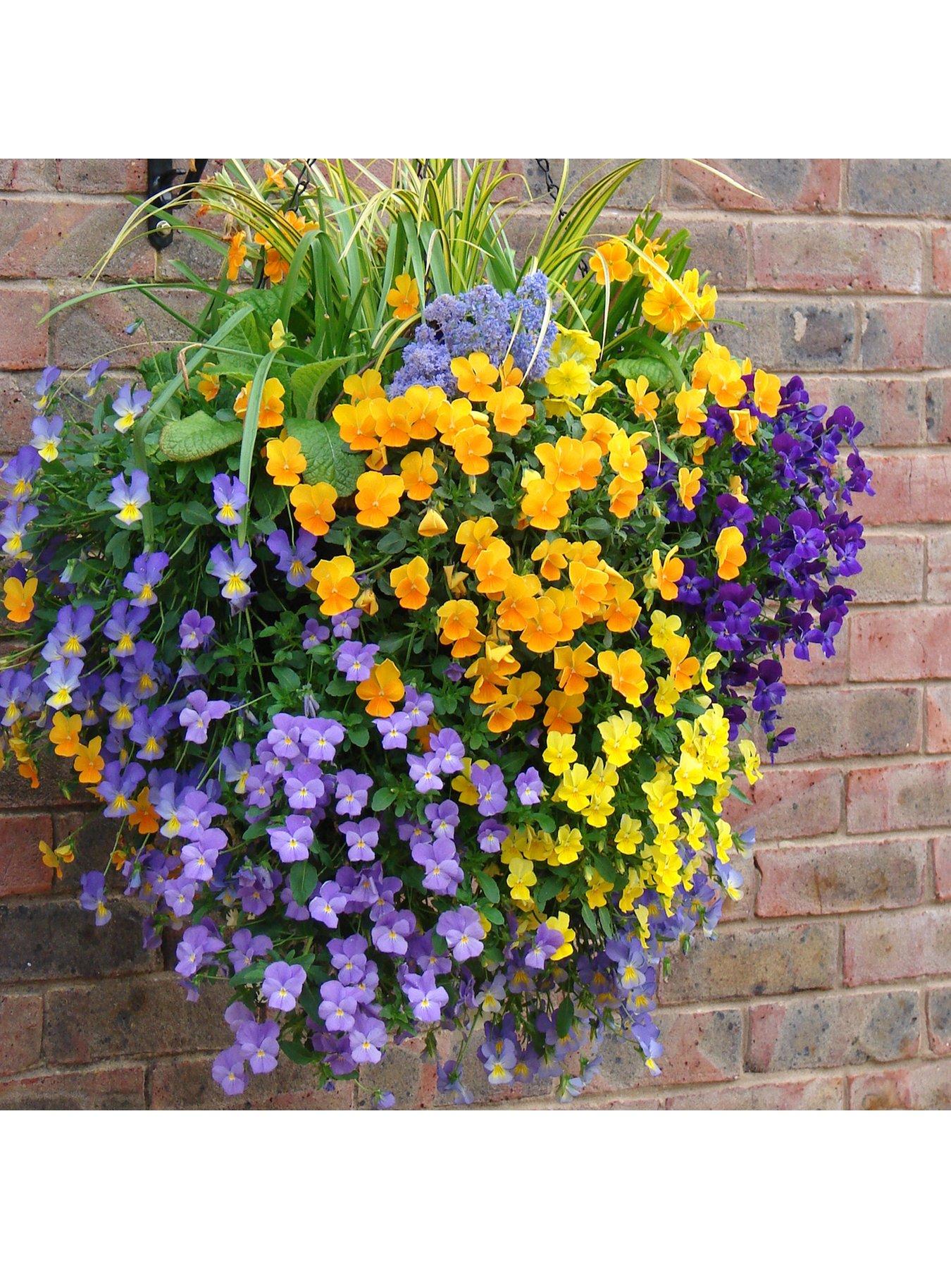 Image 2 of 5 of You Garden Pair of 15" Large Easy Fill Hanging Baskets