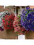  image of pair-of-15-large-easy-fill-hanging-baskets