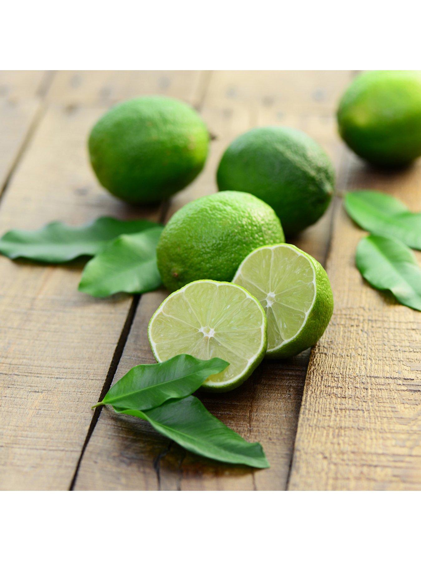 Image 4 of 5 of You Garden Citrus Grove Collection 3 x 9cm plants