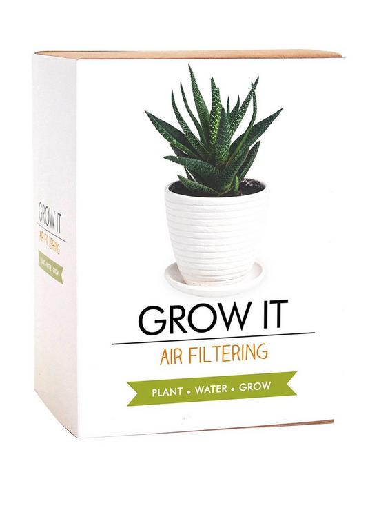 front image of gift-republic-air-filtering-grow-your-own-plant