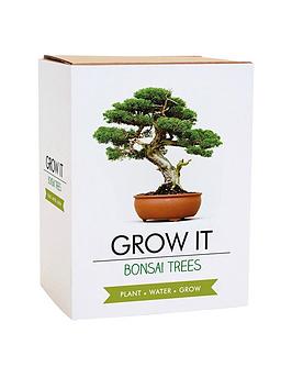 gift-republic-bonsai-tree-plant-grow-it