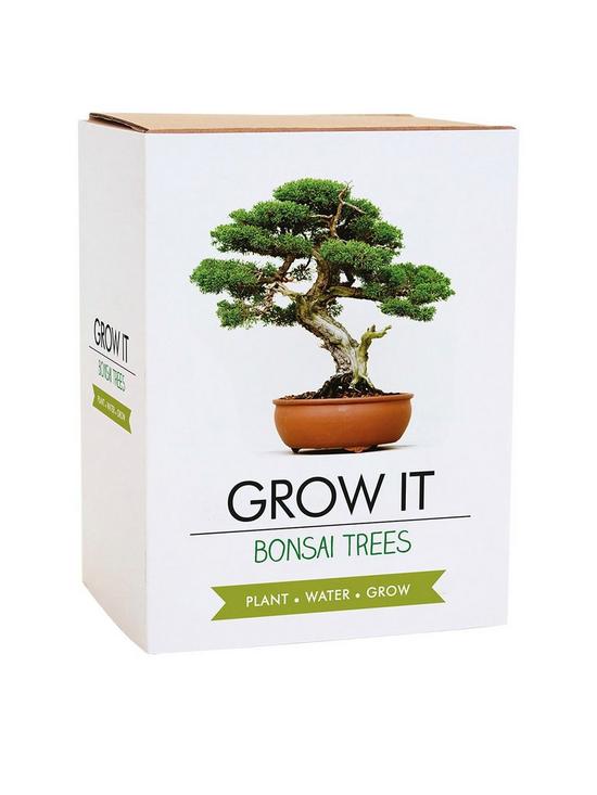 front image of gift-republic-bonsai-tree-plant-grow-it