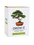  image of gift-republic-bonsai-tree-plant-grow-it