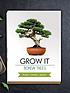gift-republic-bonsai-tree-plant-grow-itback
