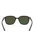 ray-ban-round-sunglasses-havanadetail