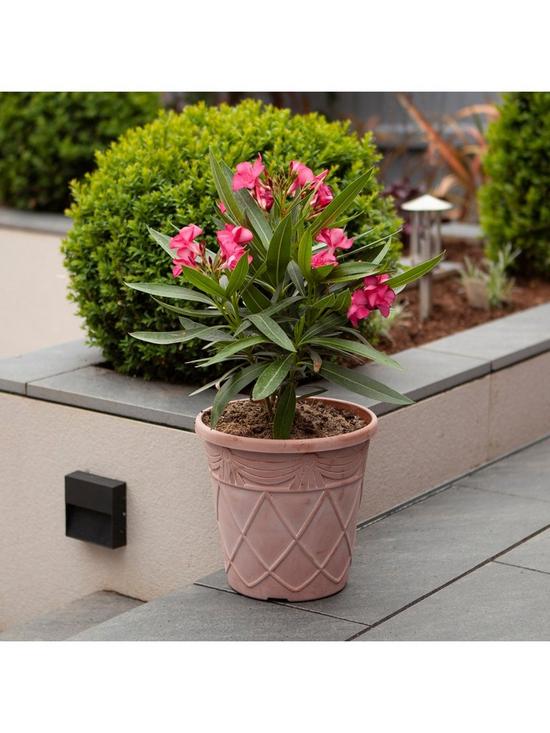 front image of you-garden-set-of-3-aged-terracotta-tuscan-planters--nbsp10