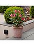  image of you-garden-set-of-3-aged-terracotta-tuscan-planters--nbsp10