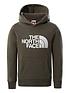  image of the-north-face-unisex-drew-peak-pullover-hoodie-green