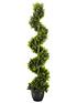  image of smart-garden-cyprus-artificial-potted-outdoor-tree