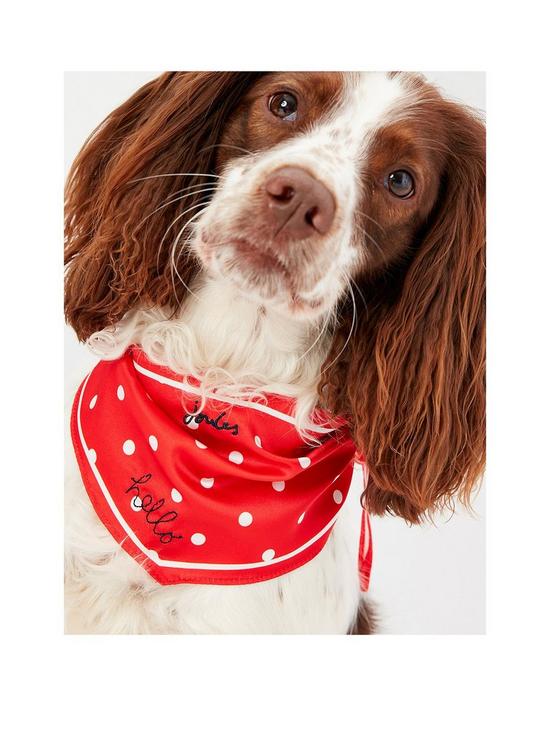 front image of joules-red-hello-polka-dot-neckerchief