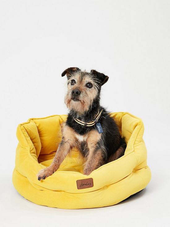 stillFront image of joules-chesterfield-pet-bed--nbspyellow