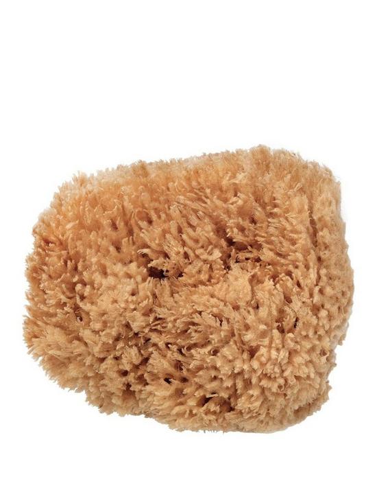front image of beauty-kitchen-the-sustainables-eco-harvested-body-sea-sponge