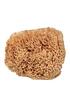  image of beauty-kitchen-the-sustainables-eco-harvested-body-sea-sponge