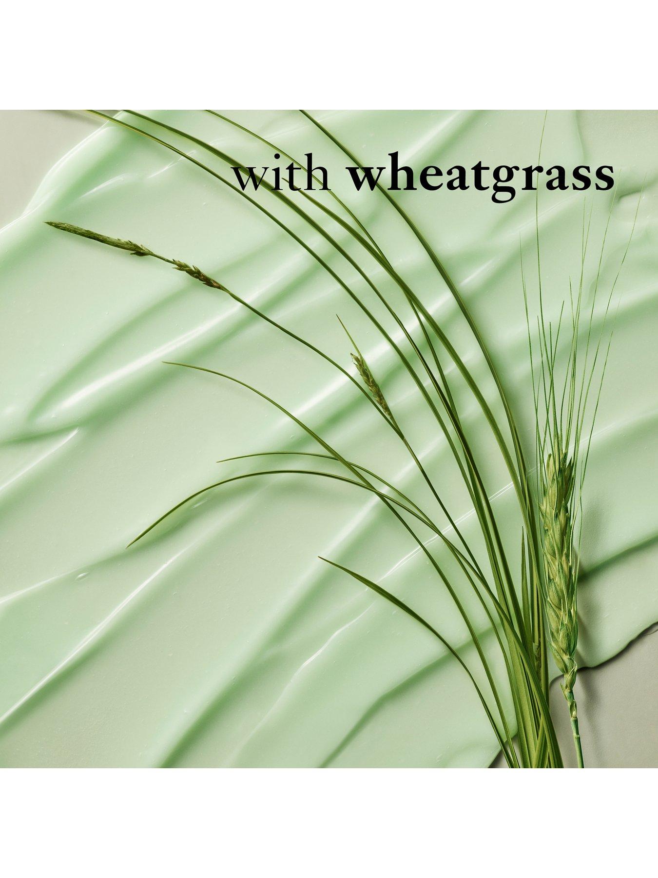 Image 4 of 5 of Philosophy Nature In A Jar Wheatgrass Mask 74ml
