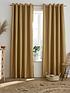  image of ashley-wilde-flynn-blackout-lined-eyelet-curtains