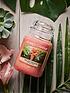  image of yankee-candle-original-large-jar-scented-candle-the-last-paradise
