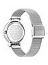 ted-baker-ted-baker-silver-dial-stainless-steel-mesh-strap-ladies-watchoutfit