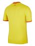  image of nike-liverpool-fc-3rd-mens-2122short-sleeved-shirt