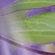 ONE_COLOUR