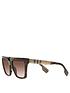 burberry-maple-cat-eye-sunglasses-brownfront