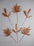  image of pampas-grass-and-feather-tree-picks-ndash-set-of-6