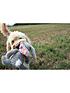  image of happy-pet-barkley-bunny-large-plush-dog-toy