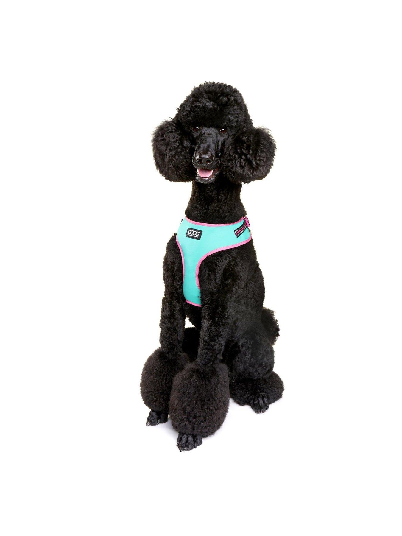  image of doog-neon-harness-rin-tin-tin