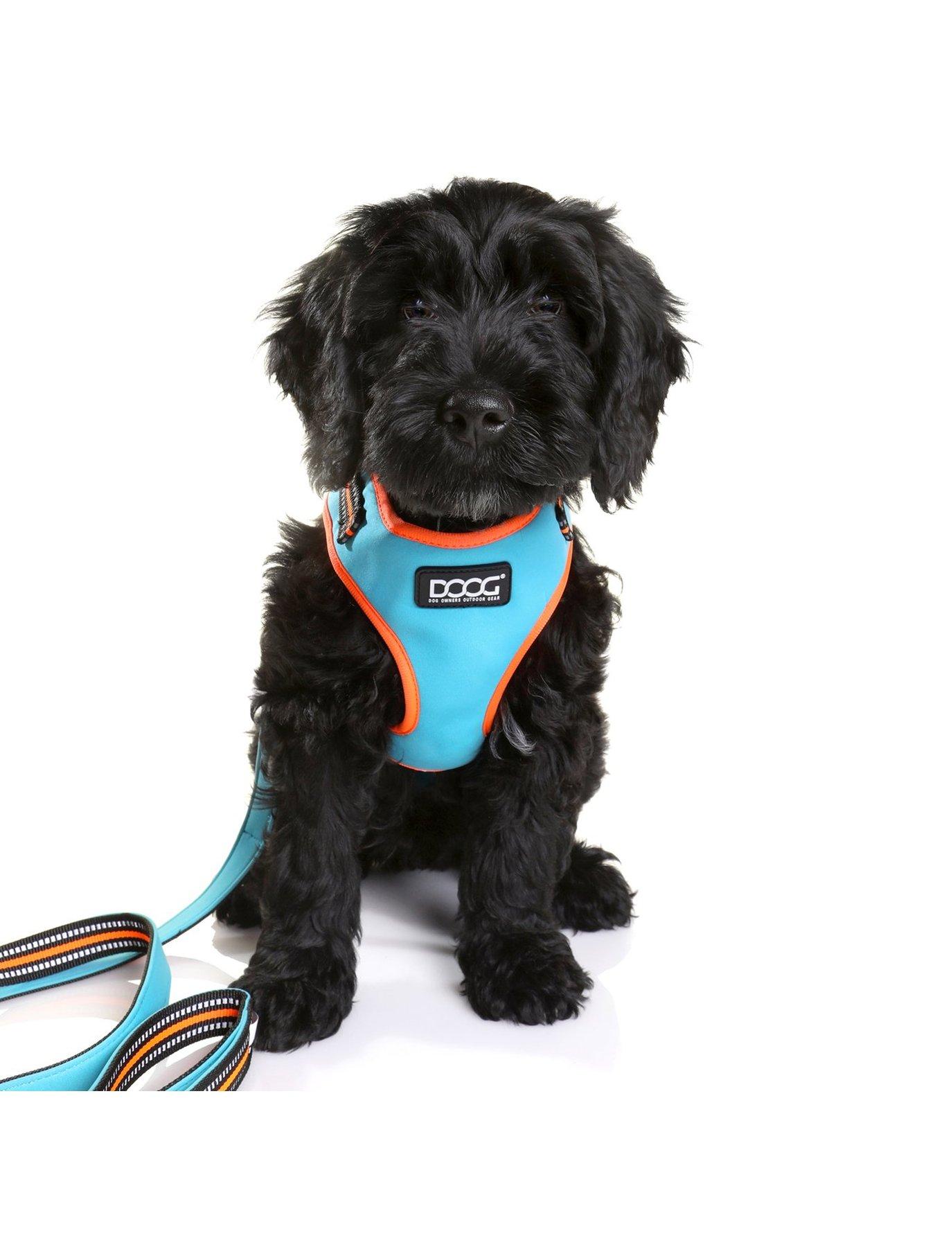 Image 2 of 6 of Doog neon harness - Beethoven