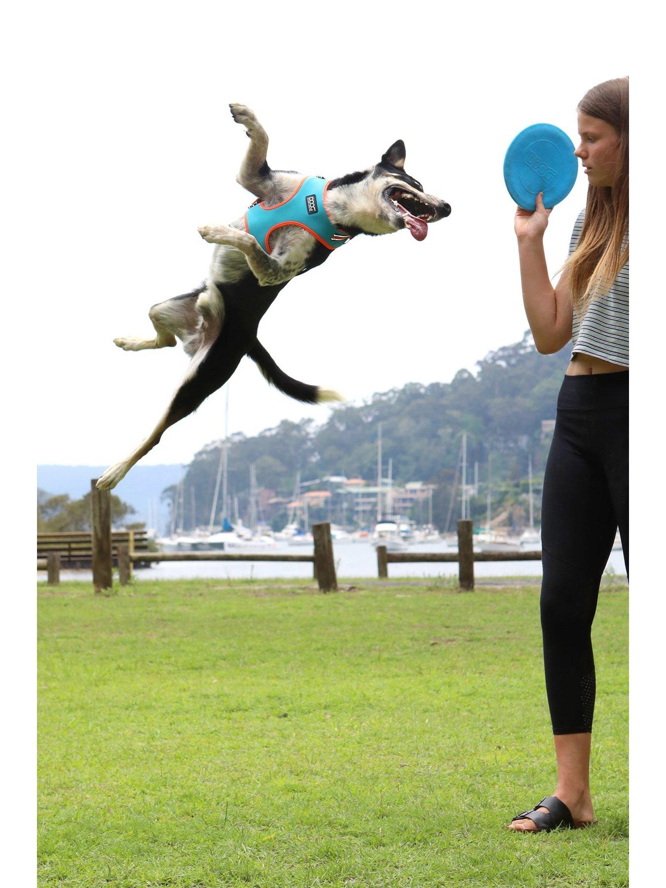 Image 5 of 6 of Doog neon harness - Beethoven