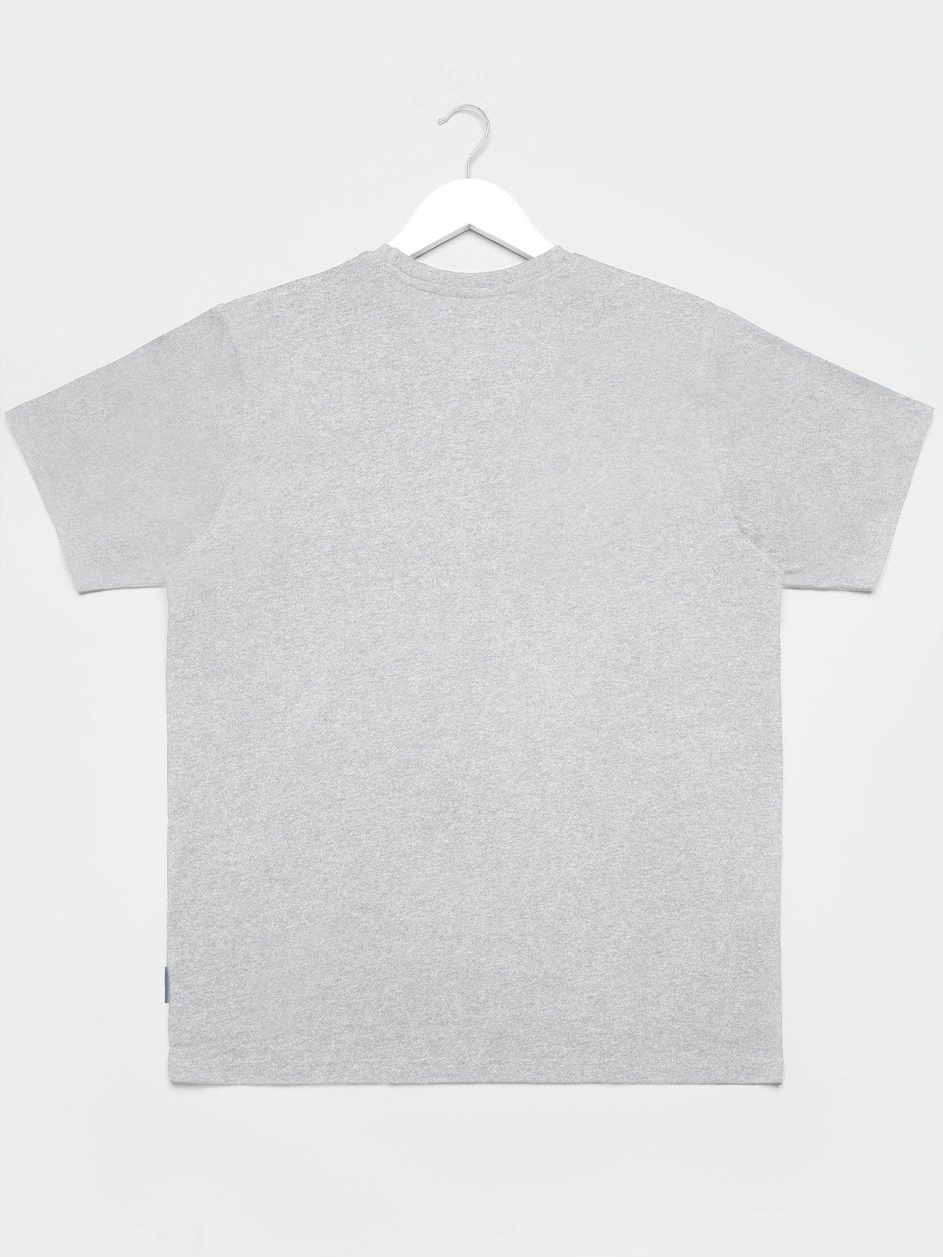 stillFront image of badrhino-essential-short-sleeve-plain-t-shirt-grey