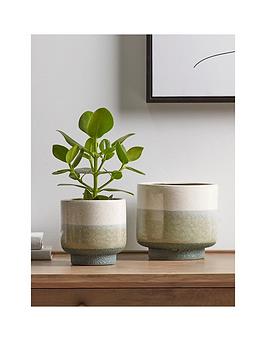 cox-cox-cox-cox-two-dipped-planters-natural-green
