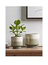 cox-cox-cox-cox-two-dipped-planters-natural-greenfront