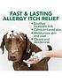 rosewood-vets-best-pet-allergy-itch-relief-shampoo-470mlstillFront