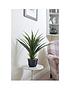  image of faux-dcor-by-smart-garden-products-artificial-spiky-sisal-plant-in-pot