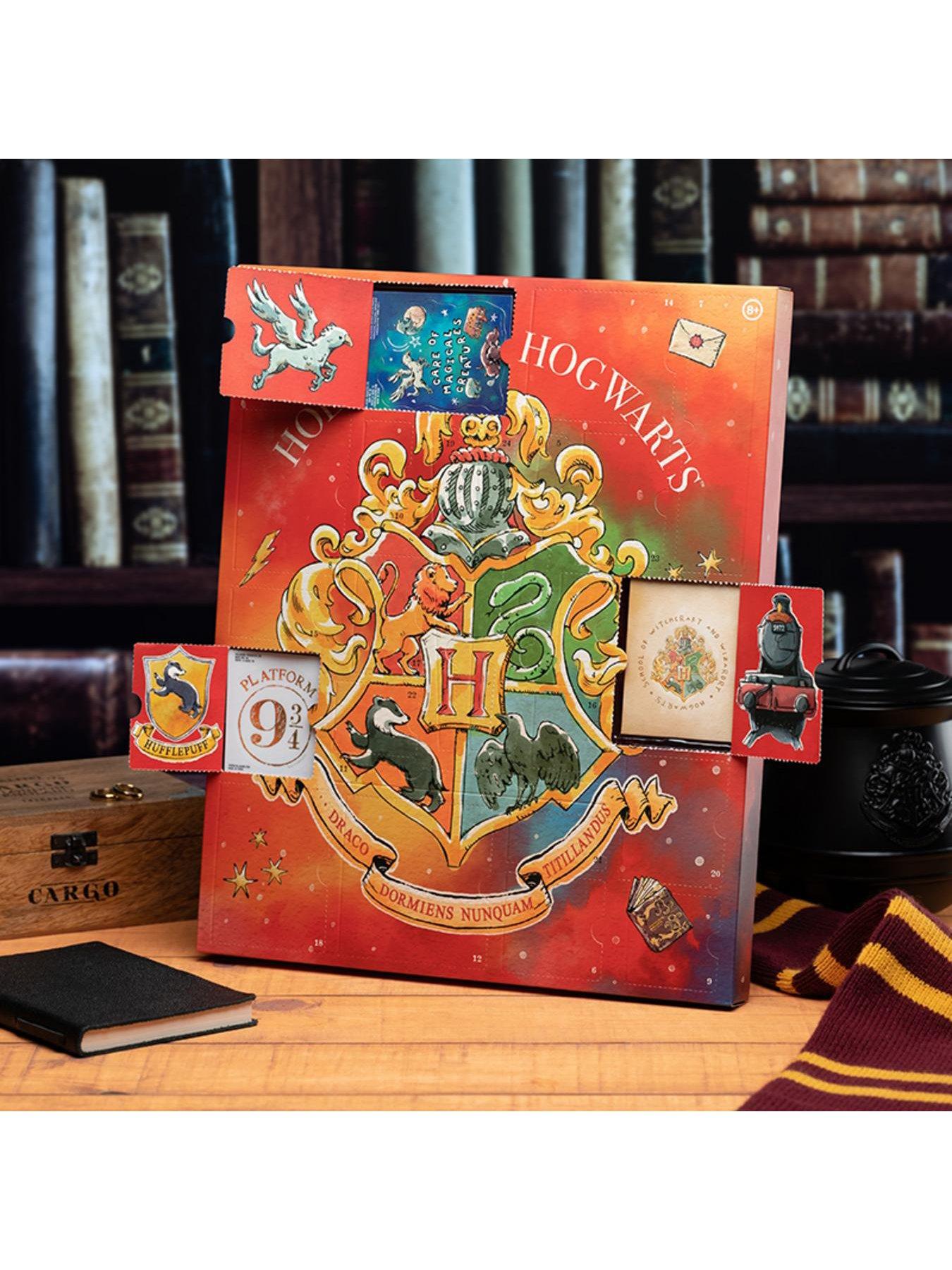 Harry Potter ADVENT CALENDAR 2021 | littlewoods.com