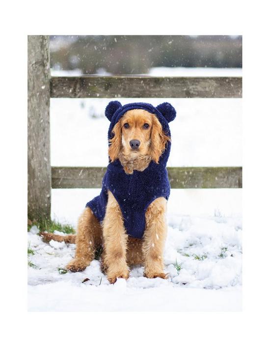 front image of rosewood-teddy-bear-dog-hoodie-large