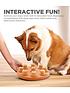  image of nina-ottosson-level-1-dog-smart-composite-interactive-puzzle-toy-for-dogs