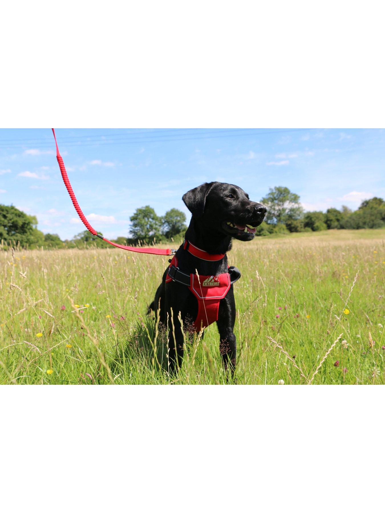 image of ancol-extreme-harness-red-s