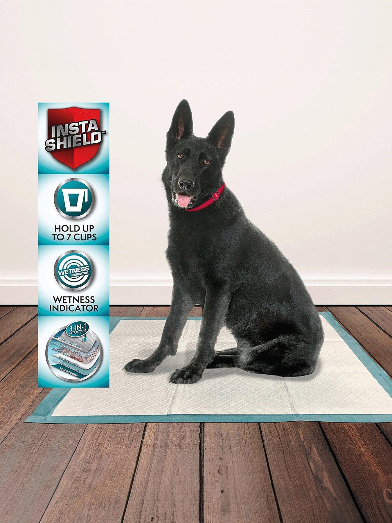 undefined Premium Puppy Training Pads - 56 pad pack