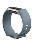 fitbit-charge-5-steel-blueplatinum-stainless-steelback