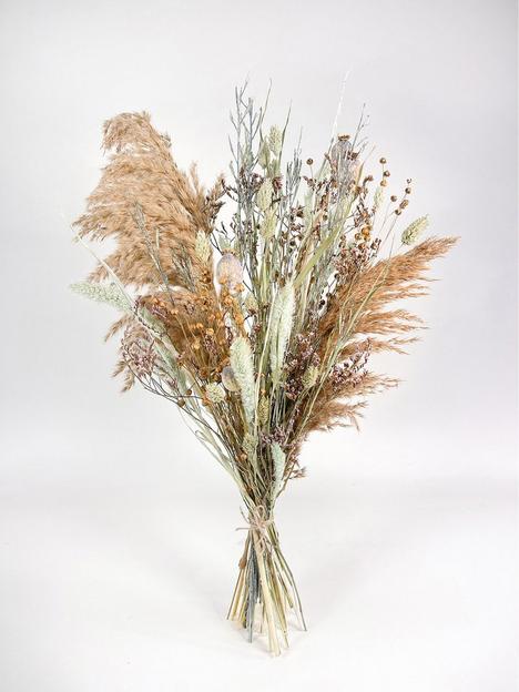 ixia-flowers-ixia-dried-flower-reid