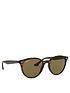  image of ray-ban-rayban-round-tortoise-frame-brown-lens-sunglasses