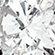 WHITE_GOLD