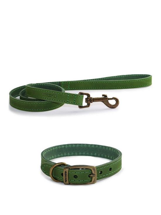 front image of ancol-timberwolf-leather-collar-green-28-36cm-size-3-and-timberwolf-leather-lead-green-1mx19mm